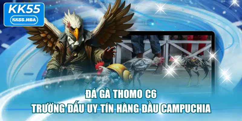 Đá Gà Thomo C6 - Trường Đấu Uy Tín Hàng Đầu Campuchia