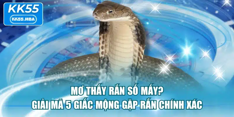 Mơ Thấy Rắn Số Mấy? Giải Mã 5 Giấc Mộng Gặp Rắn Chính Xác
